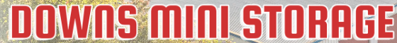 Downs Mini Storage logo