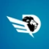 D.Removals logo