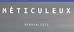 Meticulous Removals logo