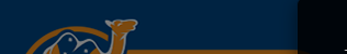 Storage City logo