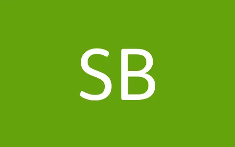 Steel Box Storage logo
