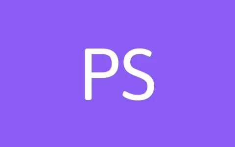 Platinum Storage Solutions logo