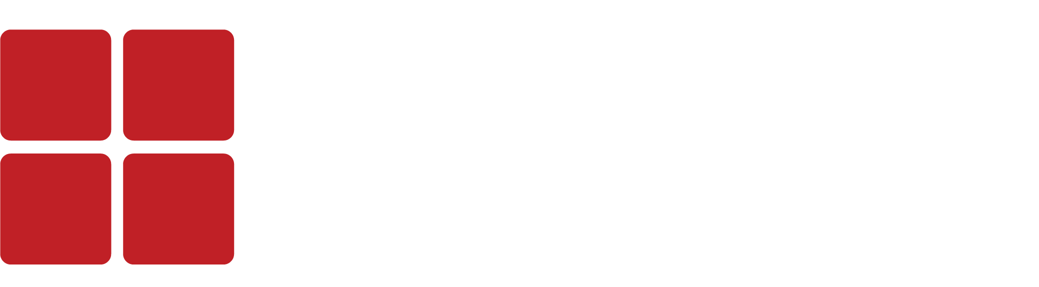 Direct Storage Systems logo