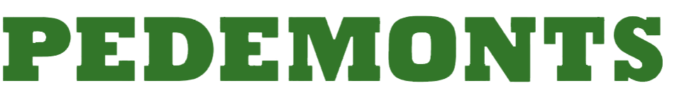 Pedemonts Removals & Storage logo