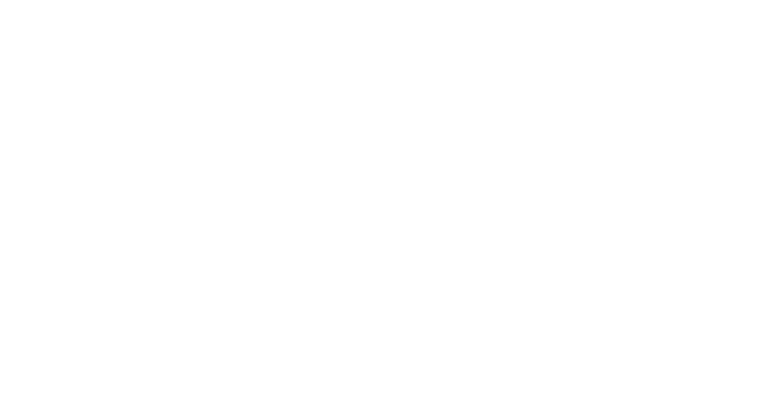 MM REMOVALIST logo