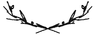 West Geelong Caravan Storage logo