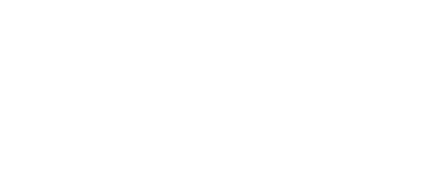 Burnie Storage logo